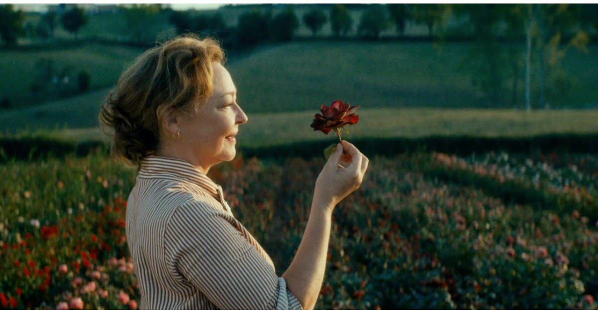 Usłane różami - zapowiedź wzruszającej komedii. O czym opowiada?